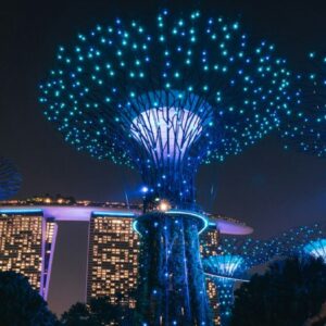 people standing near blue lighted christmas tree during nighttime