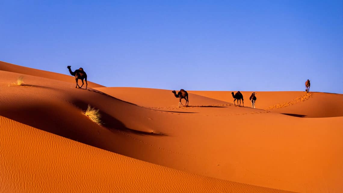 Die Sahara, Foto: Carlos Leret / Unsplash