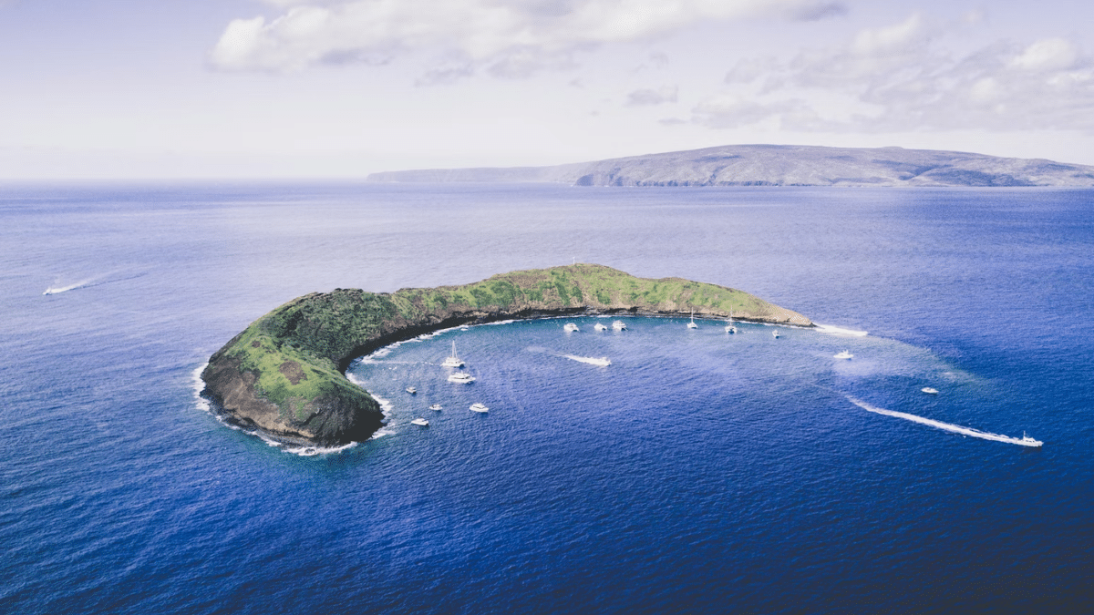 "White Lotus" Season 1: This Is What Hawaii Really Looks Like Outside the Show 4 Molokini Crater, Photo: Farid Askerov / Unsplash